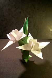 origami_edelweiss